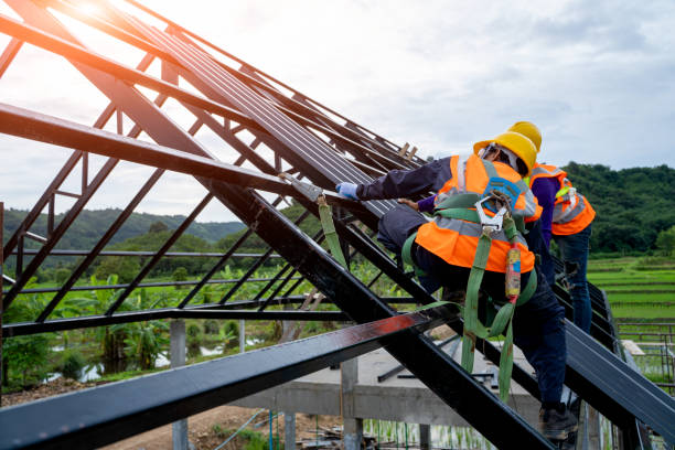 Best Roof Gutter Cleaning  in Houston, TX